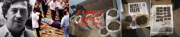 гидра Верхний Тагил