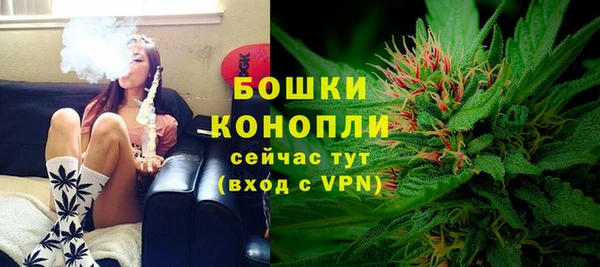 гидра Верхний Тагил