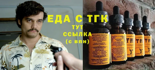 гидра Верхний Тагил