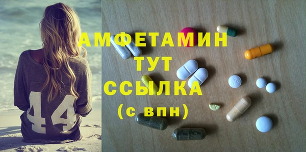 гидра Верхний Тагил