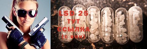 гидра Верхний Тагил