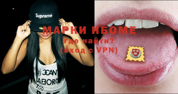 гидра Верхний Тагил